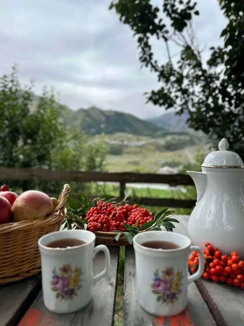 Отель Axien Kazbegi
