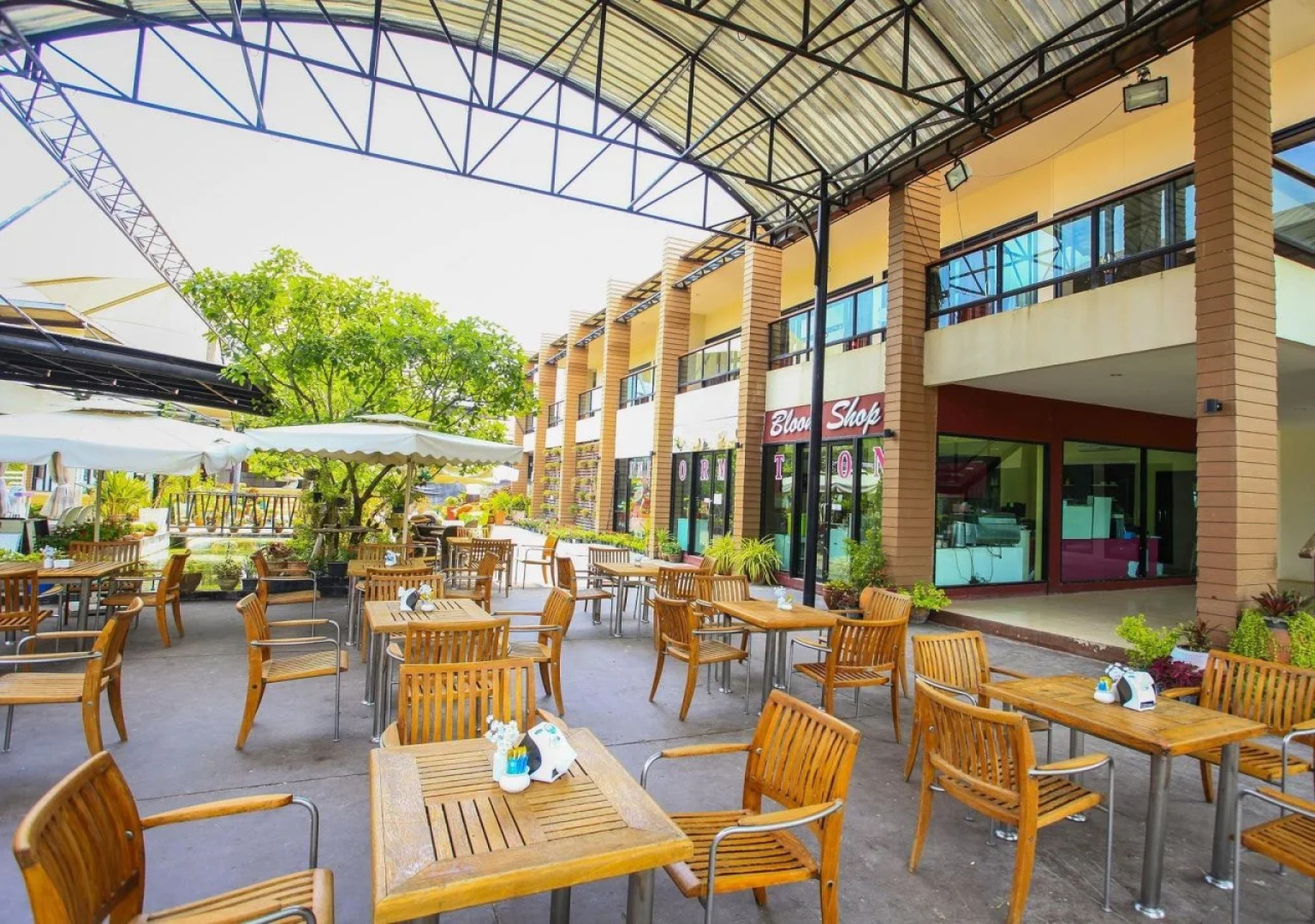 The Bloom by TV Pool