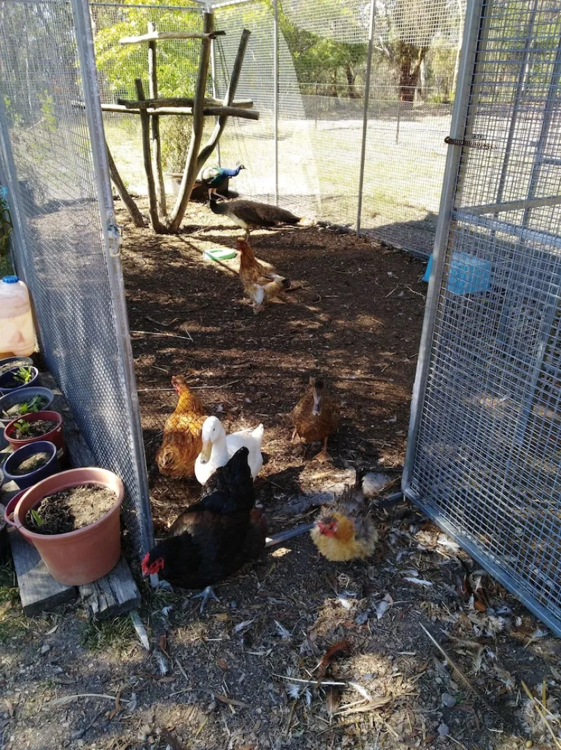 Big Tiny The Whispers