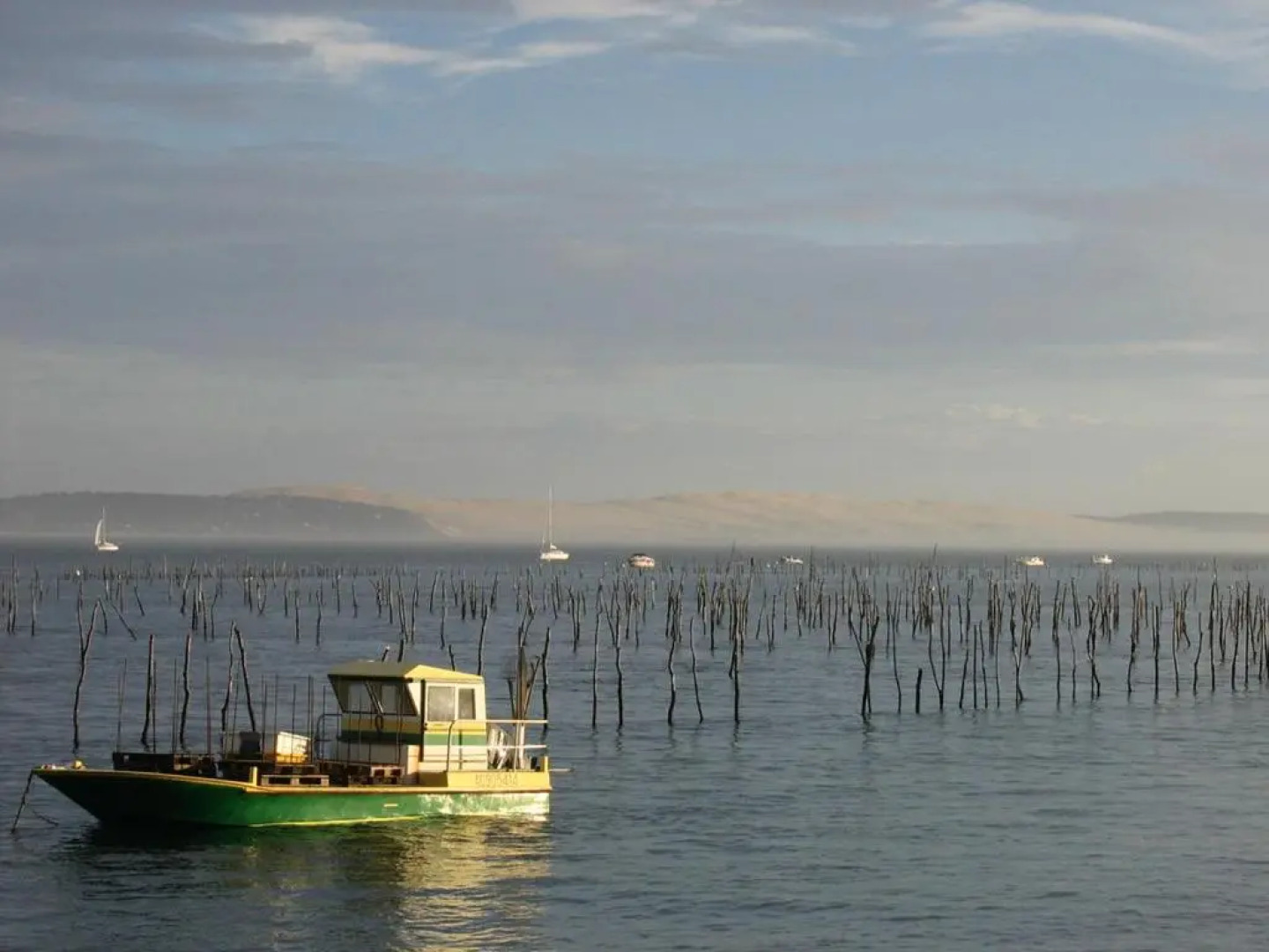 Appartement Arcachon, 3 Pièces, 6 Personnes - Fr-1-420-33
