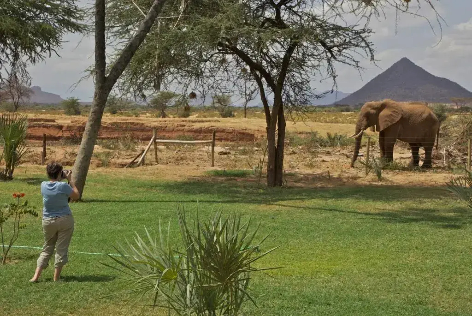 Samburu Lodge