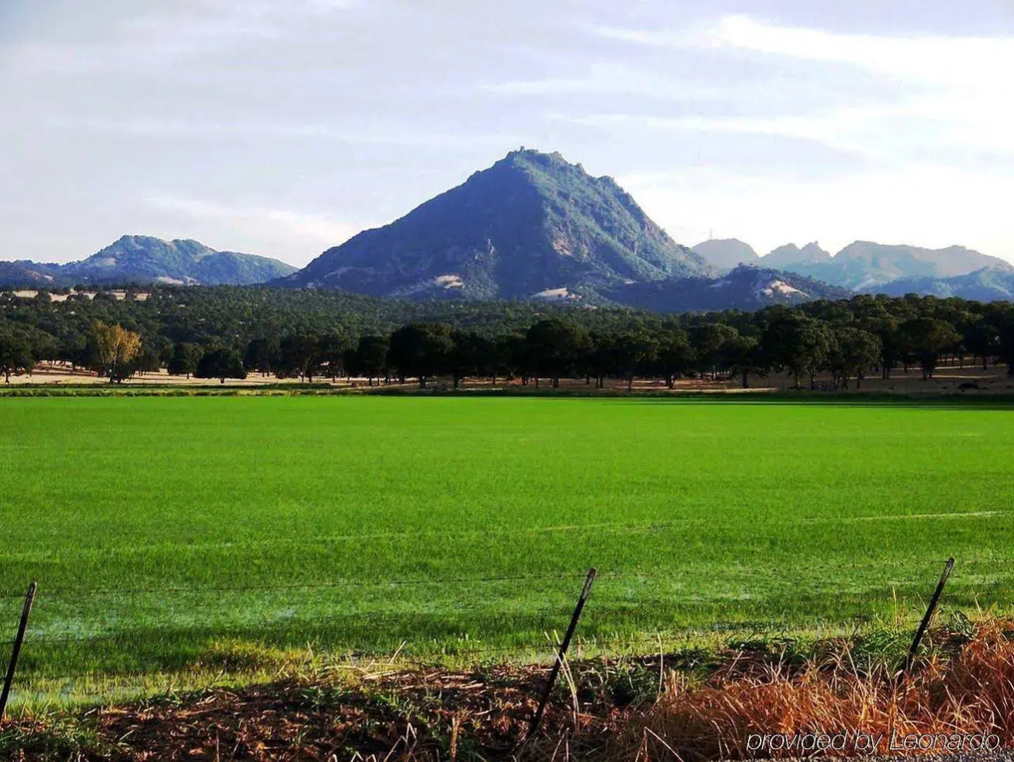 Hampton Inn & Suites Yuba City