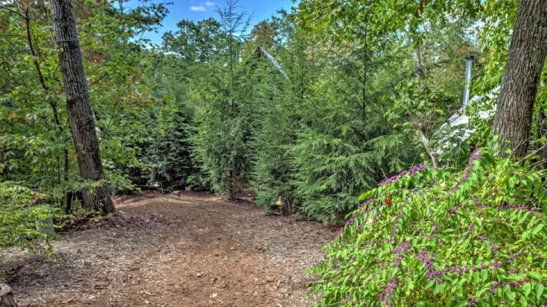 Wild Turkey's Roost - 1 Br Cabin