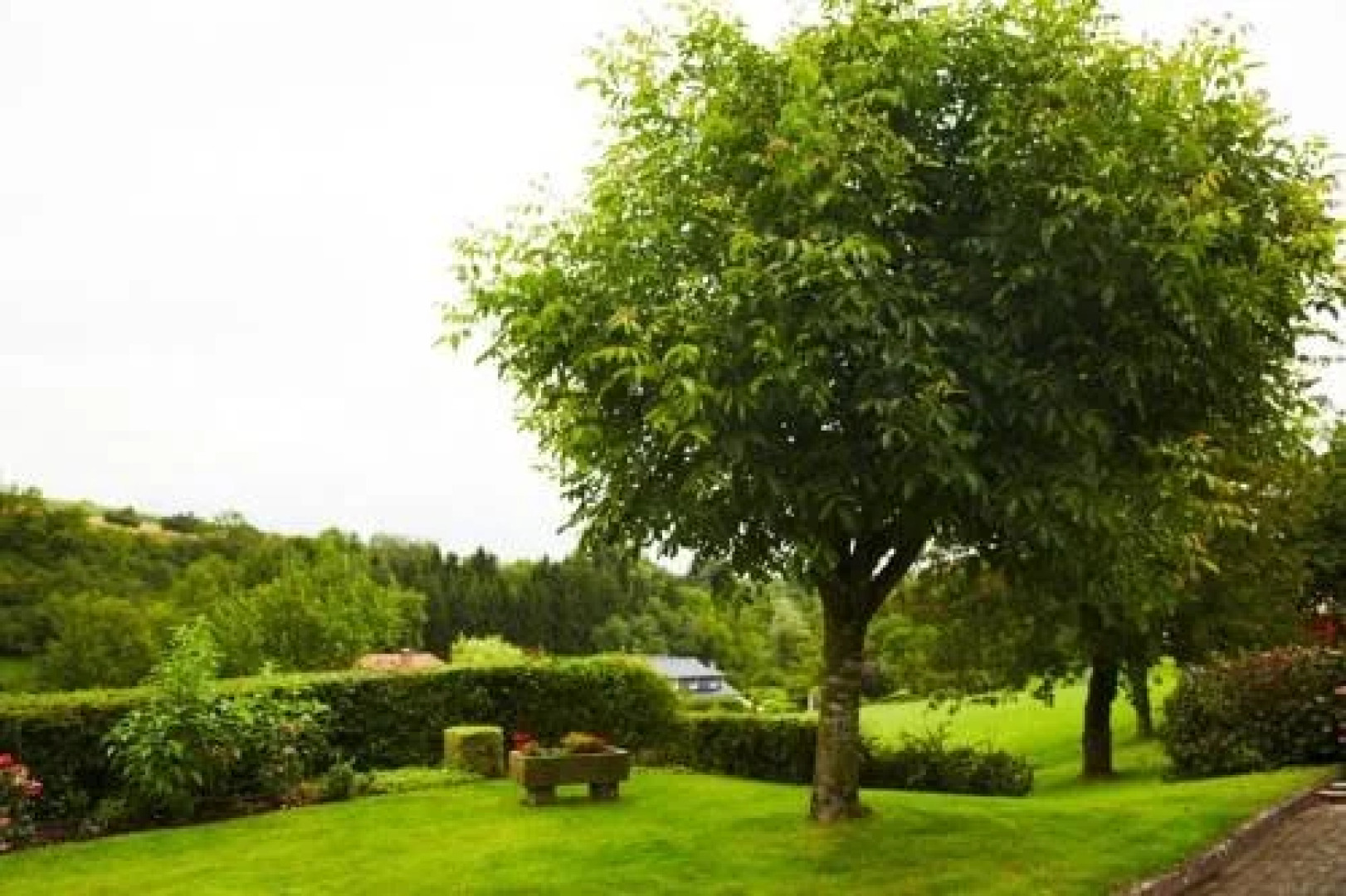 Hotel Haus Kornmarkt