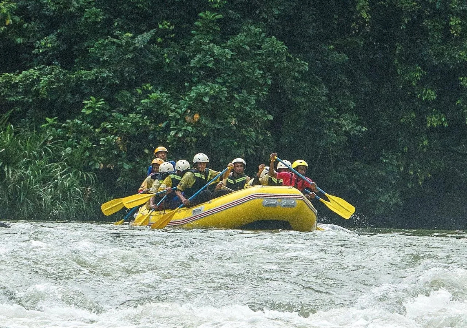 Palmstone Retreat - Kithulgala