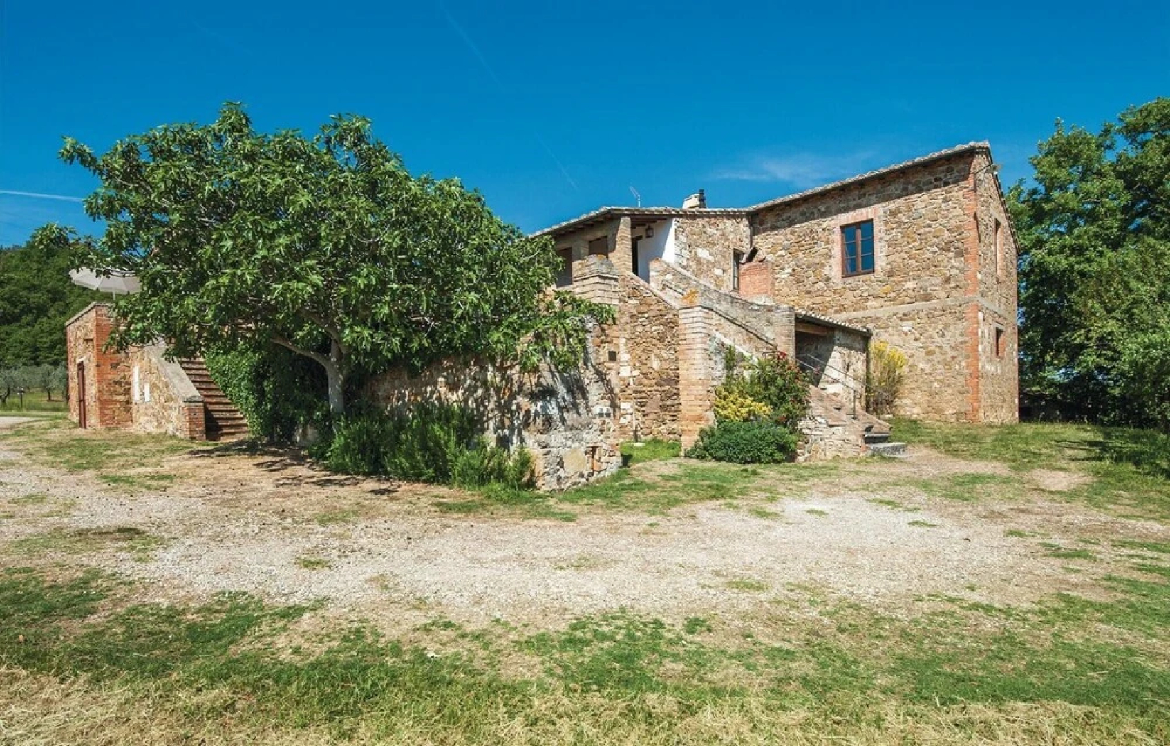 Schivanoia 2