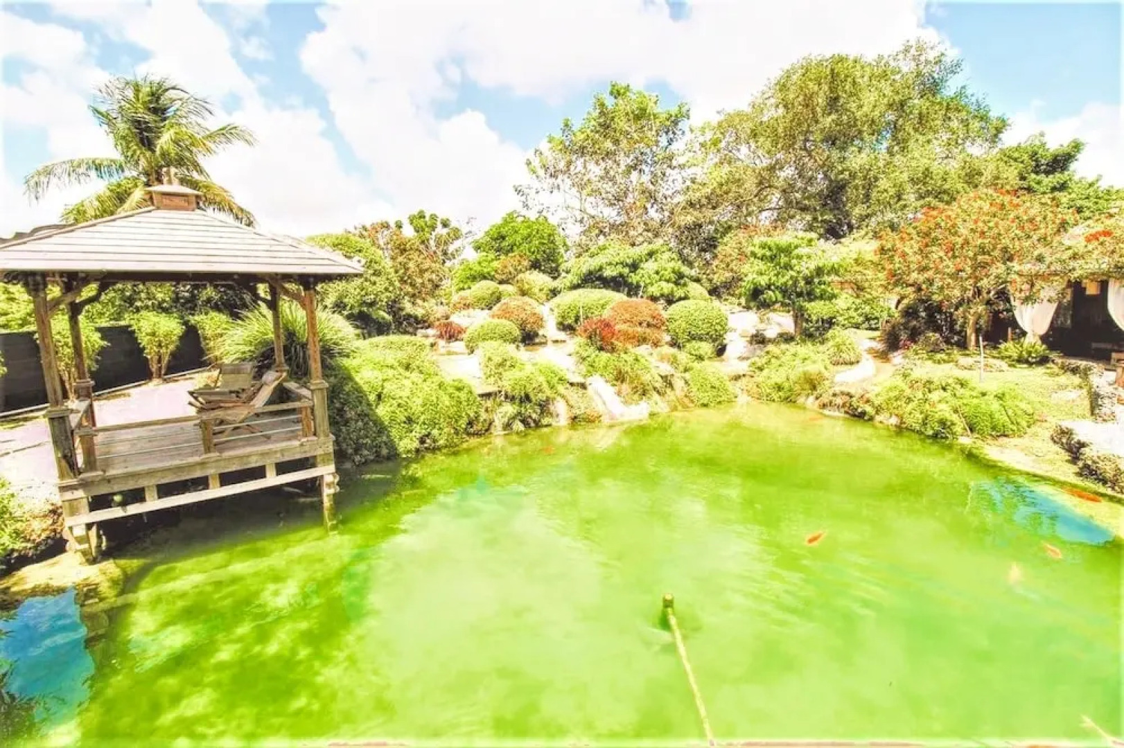 Tiny House in Authentic Japanese Koi Garden in Florida