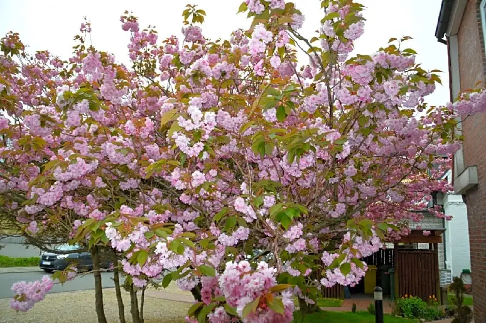 Hotel Südstrand Amrum