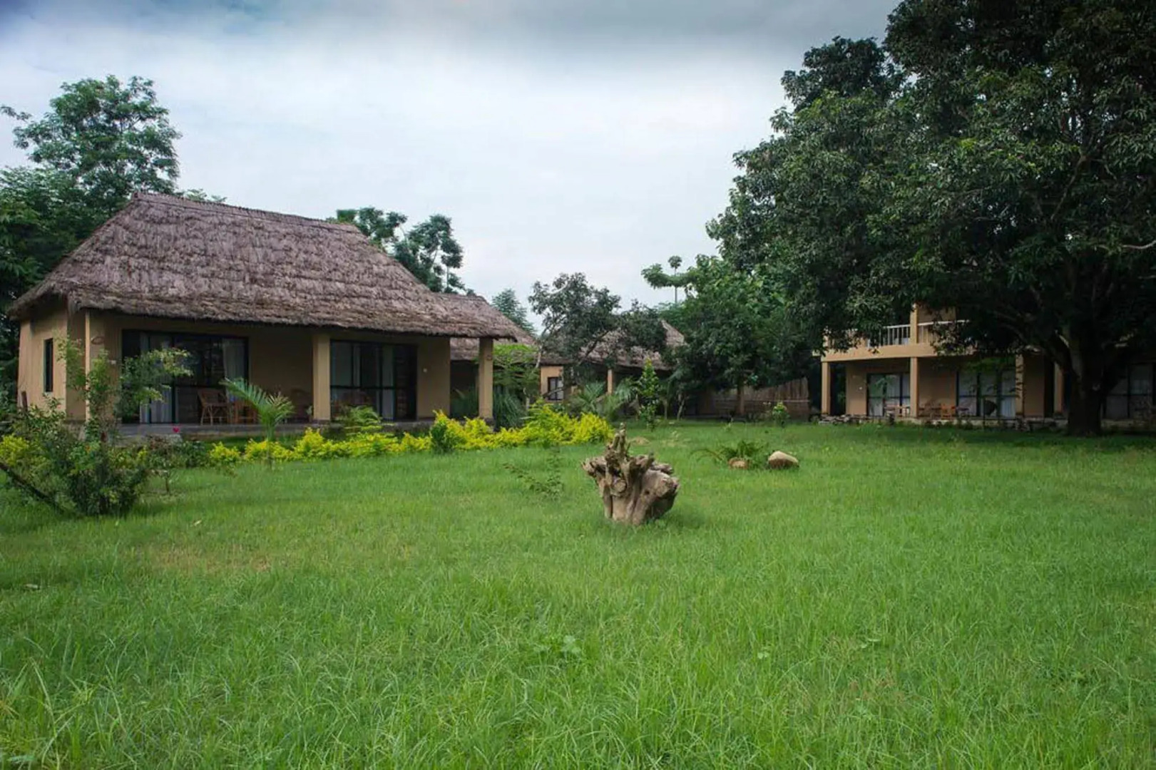 Into The Wild Eco Resort