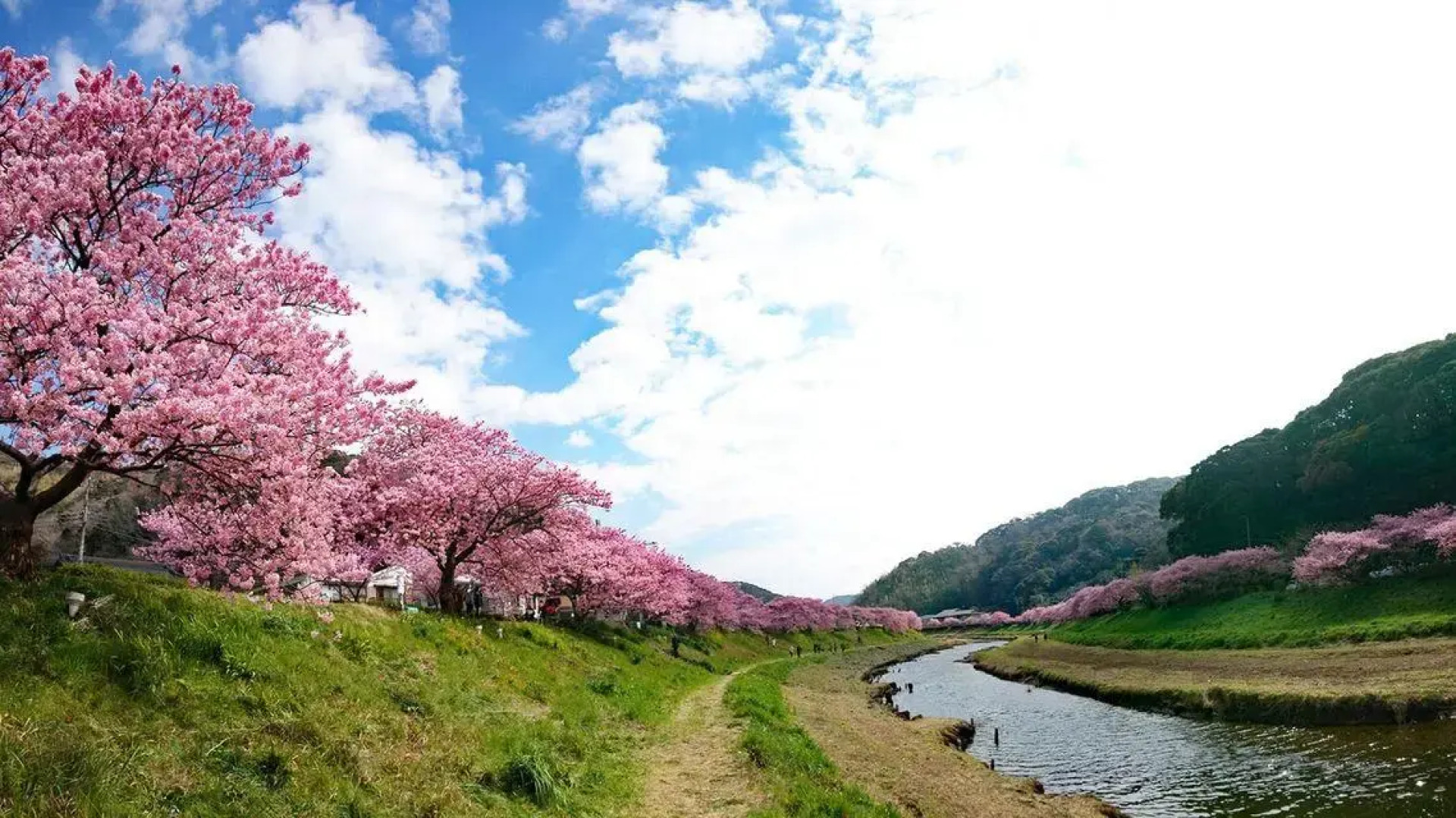 Shimoda Bay Kuroshio