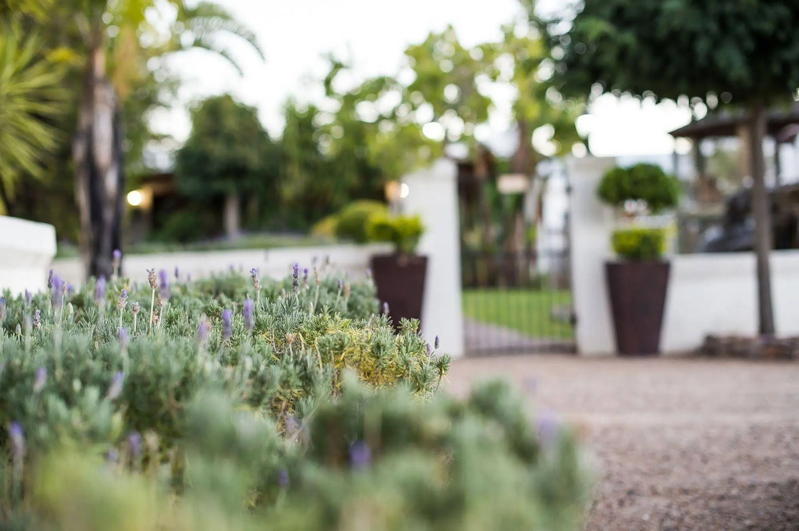 Kleinplasie Guesthouse