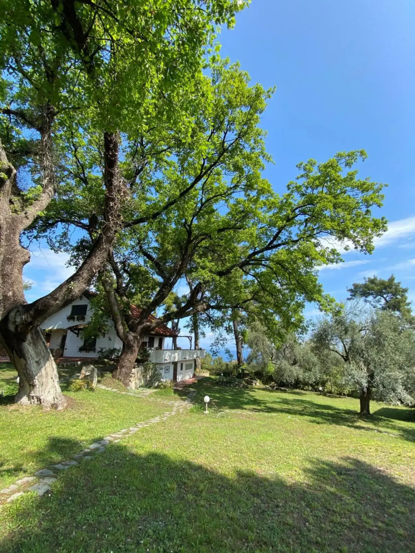 Wild Oaks Cottage