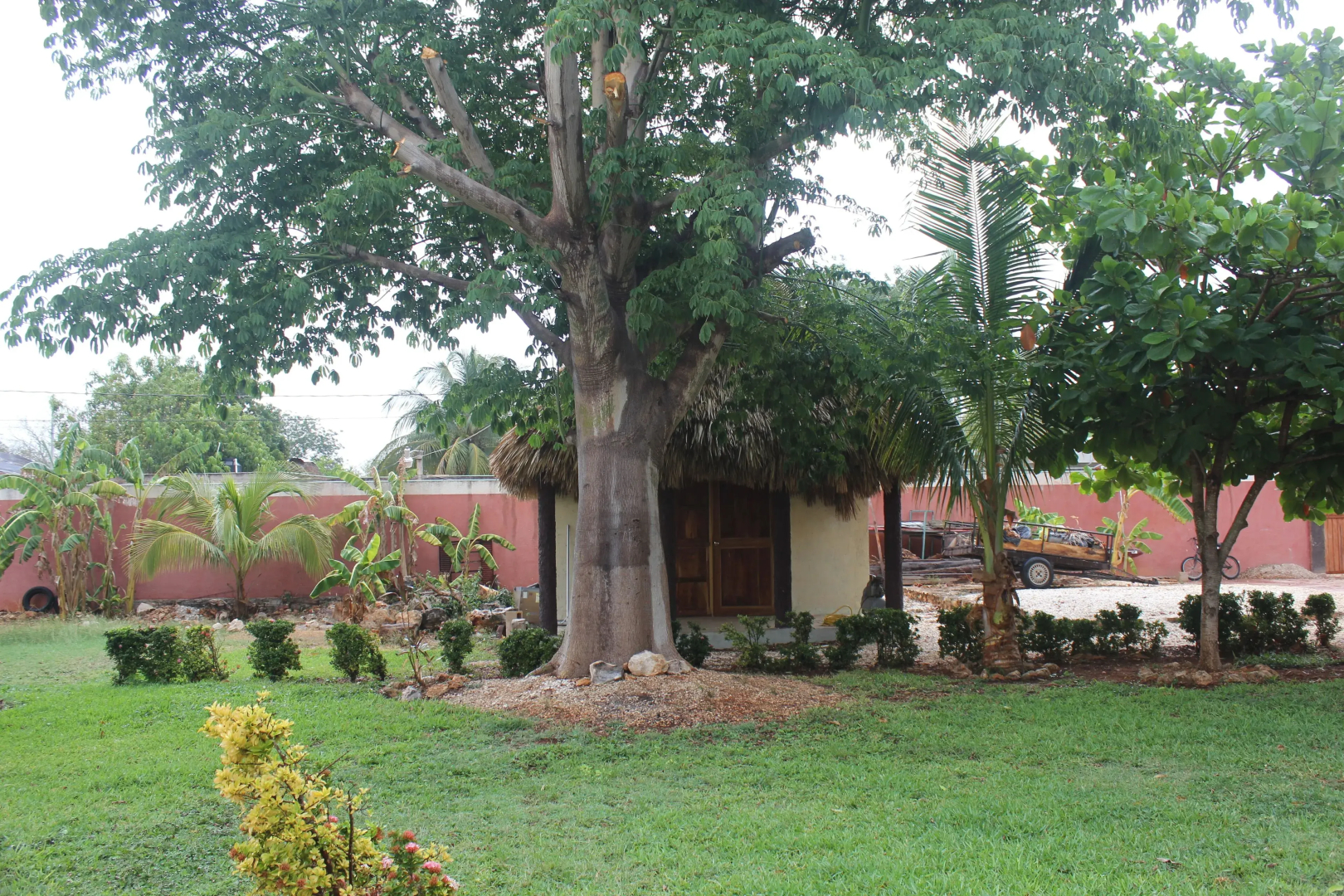 Mangrove King Fishing Lodge