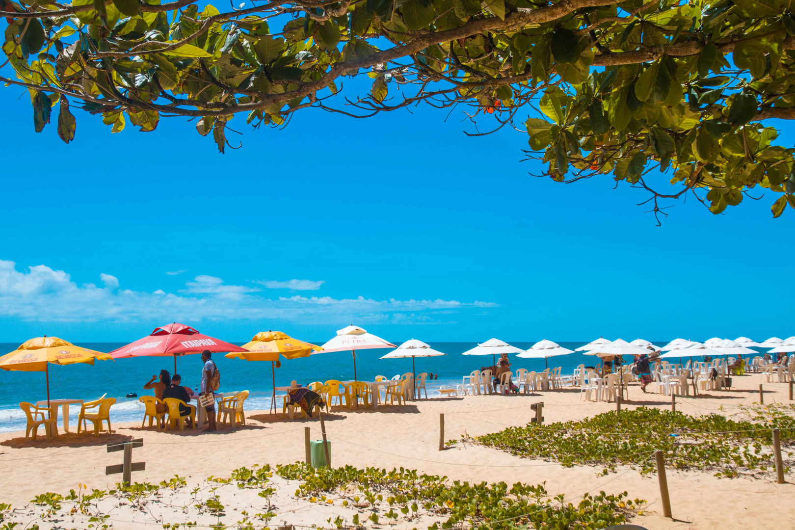 Portal Beach - Rede Soberano