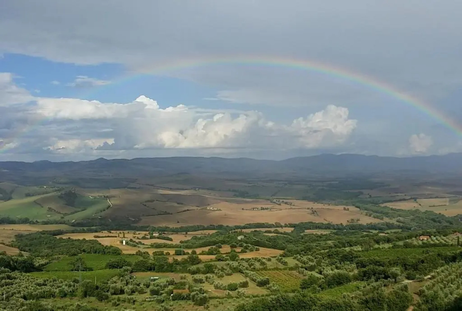 Apartment La Scala 1572