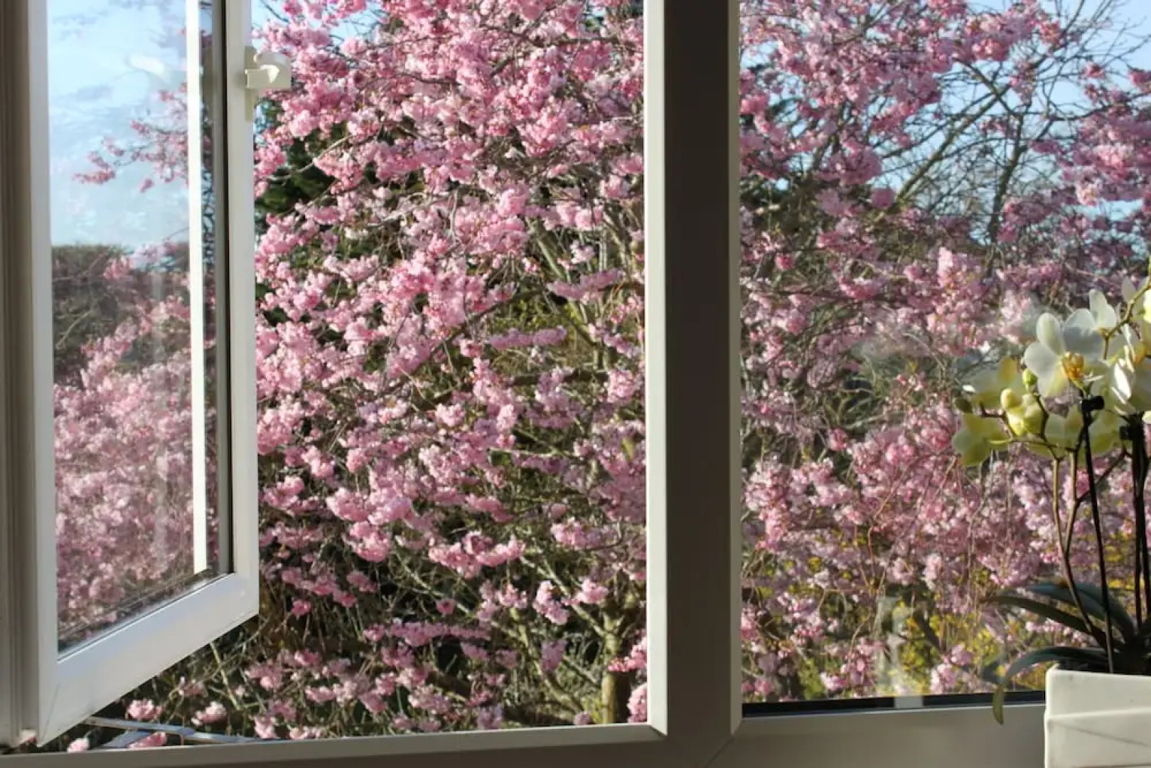 Harvest House bed and Breakfast