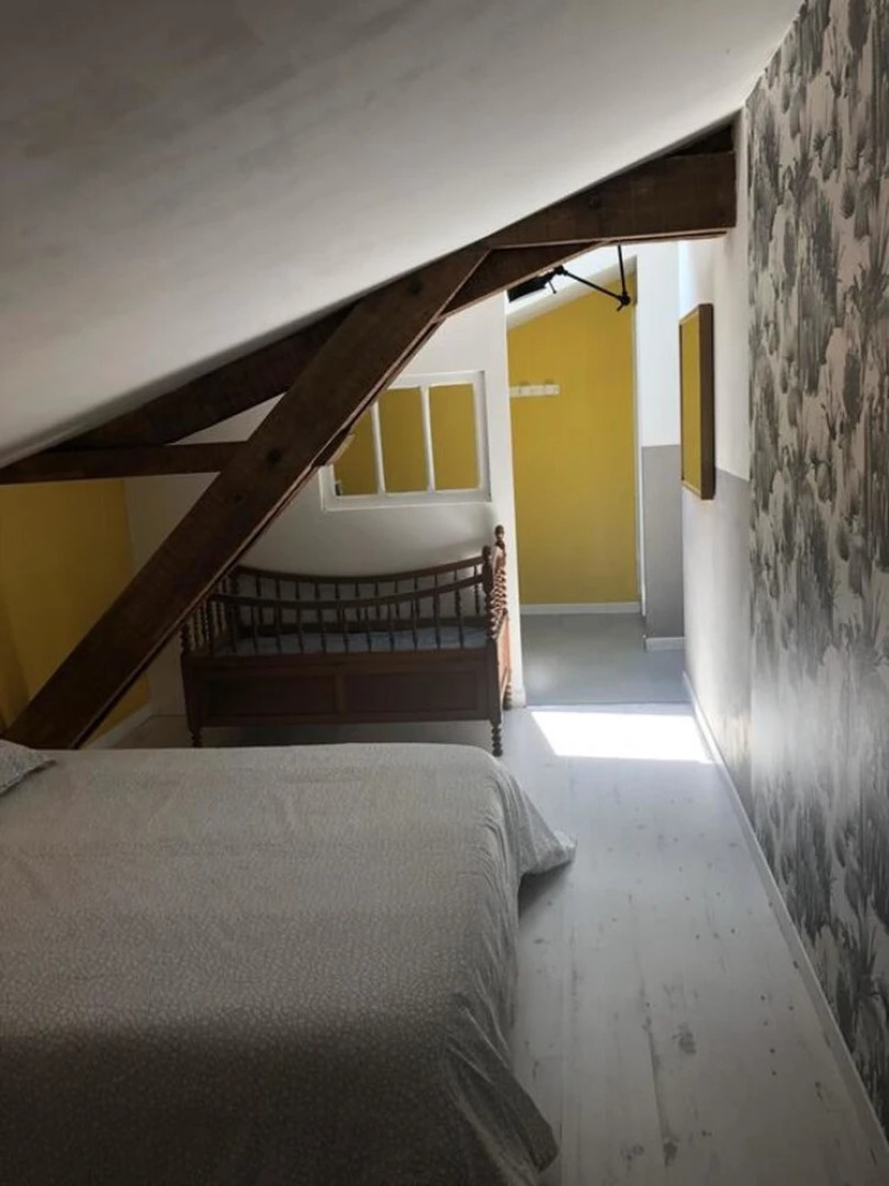 Les Chambres de Lily - Appartement