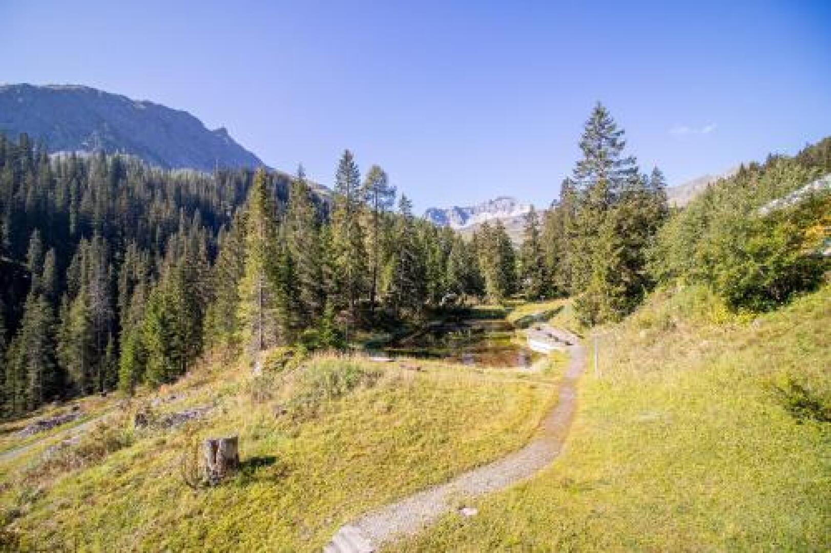 Apartment Rothorn 11