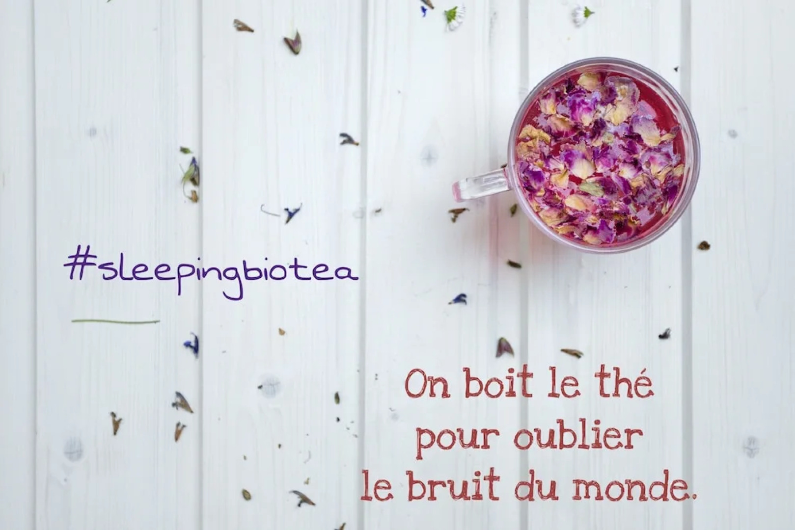 Sleeping Bio Tea - B&B