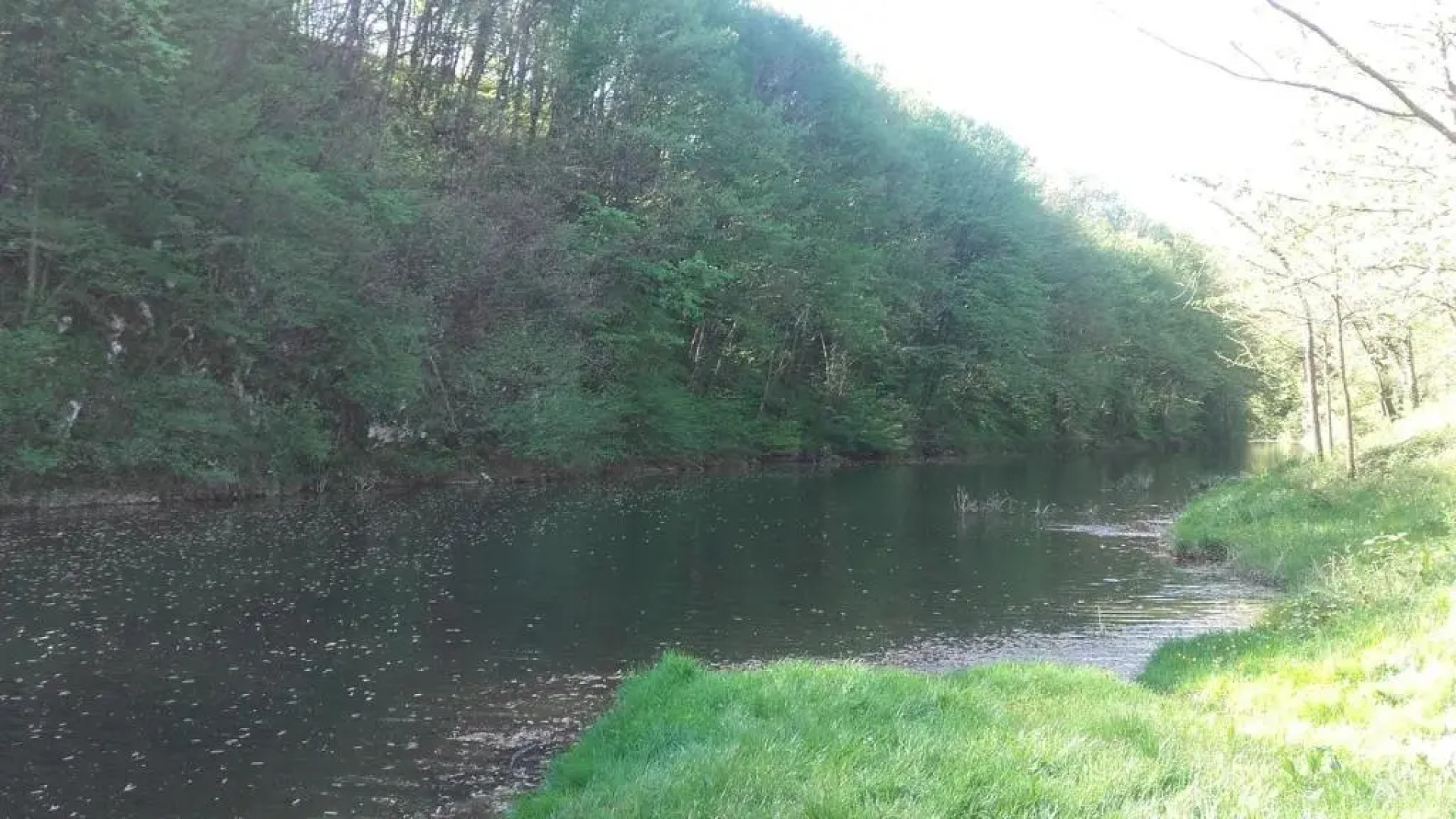 Tina Studio Apartment