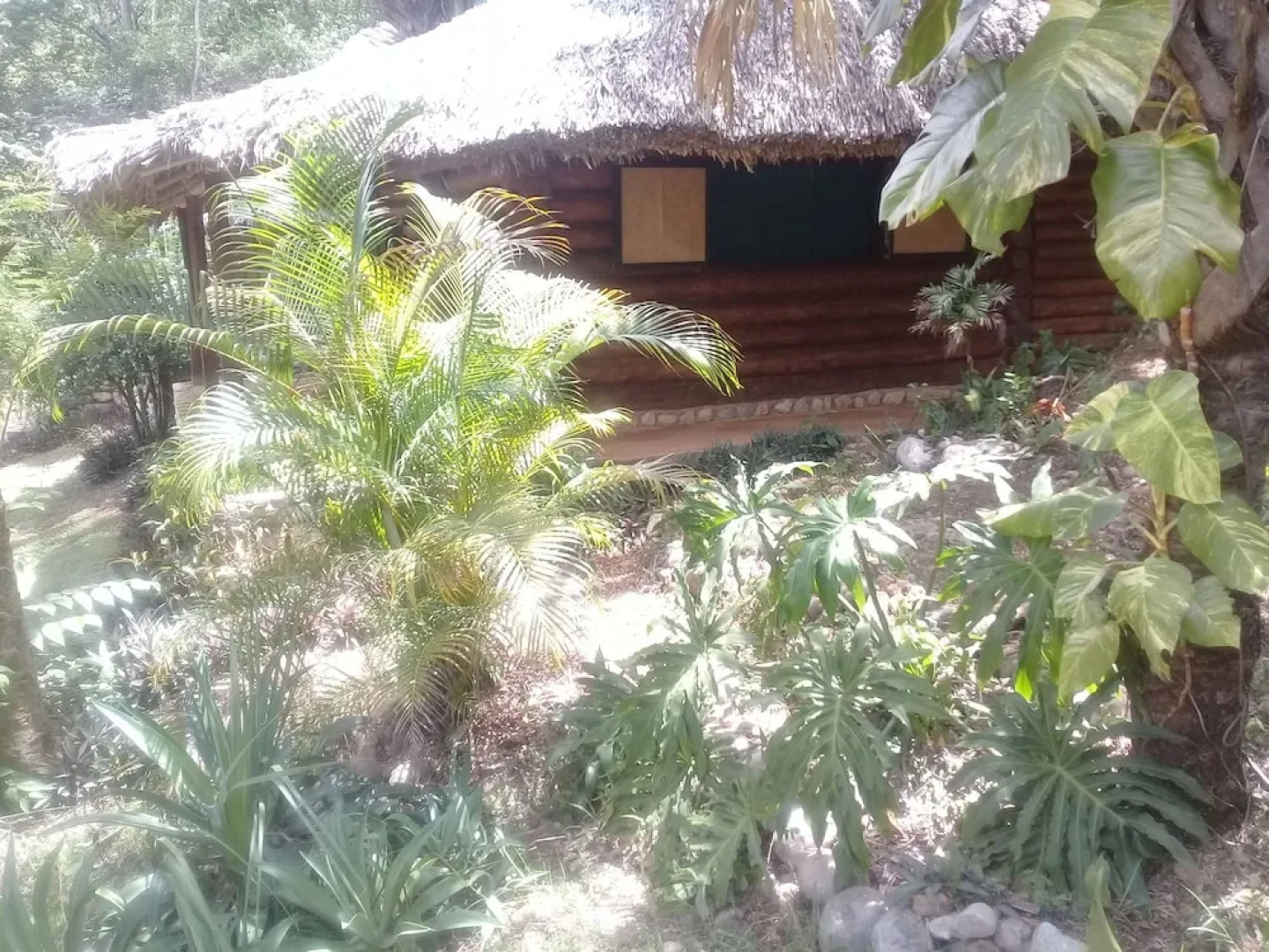 Room in Lodge - Sierraverde Cabin "cabaña el Cedro"