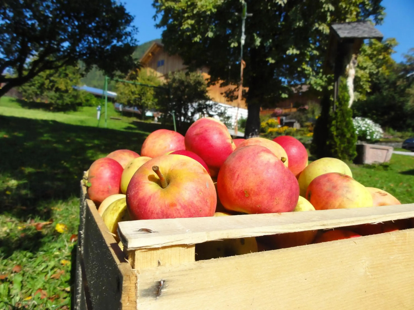 Mair am Graben Farm * Chalets