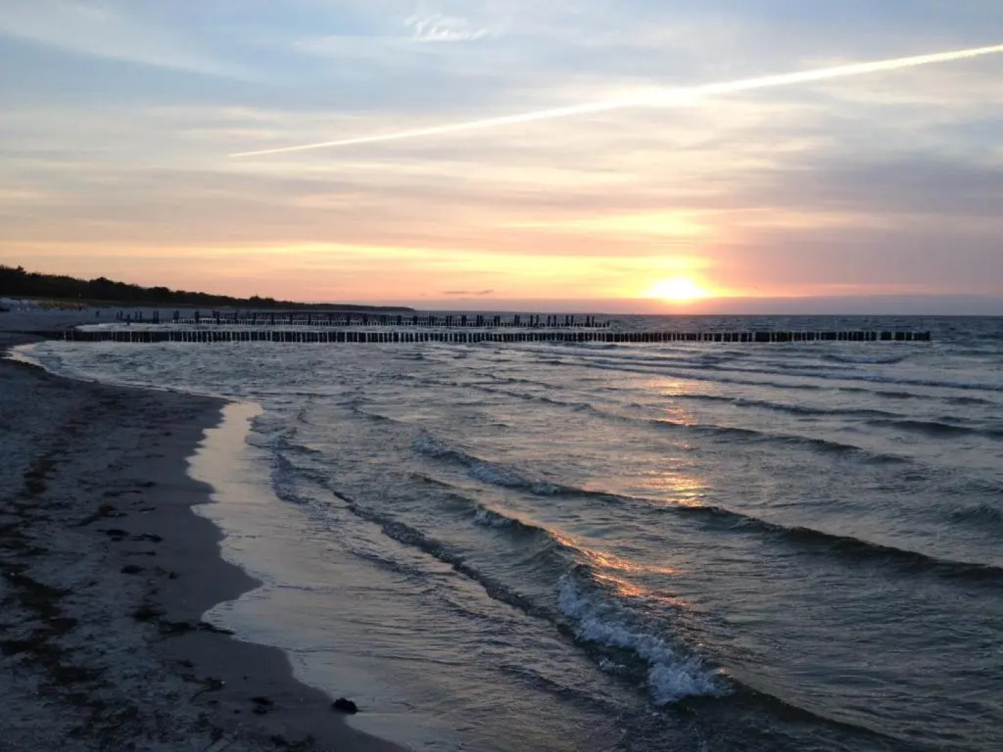 Ferienwohnung Buchenpark