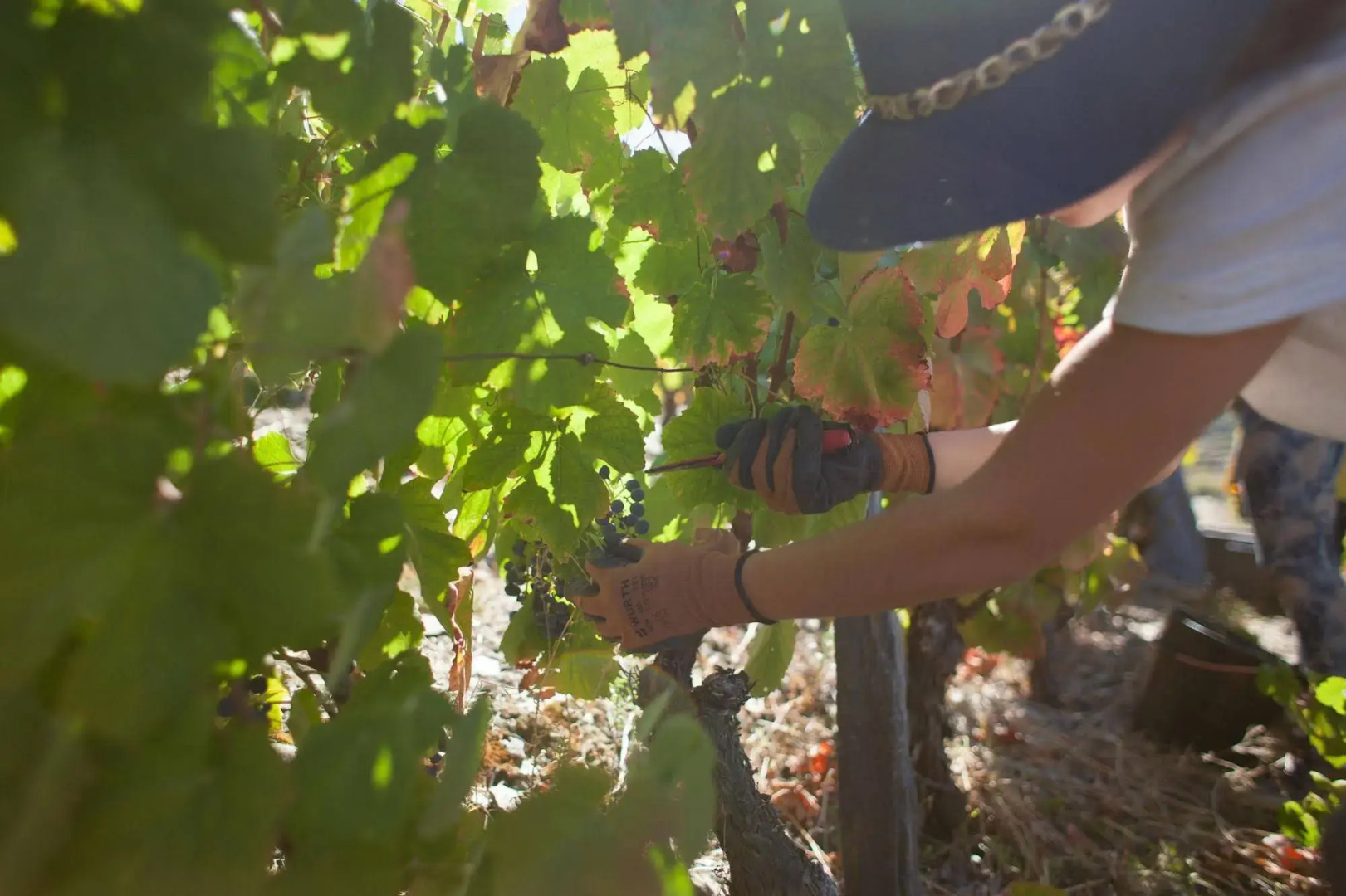 Hotel Rural Quinta do Silval