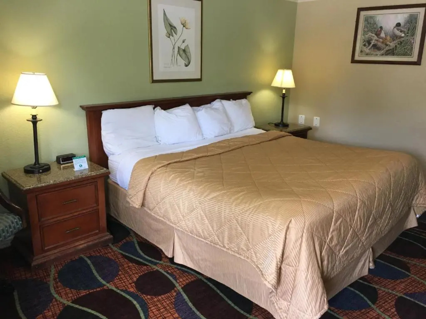 colony motel Jamestown