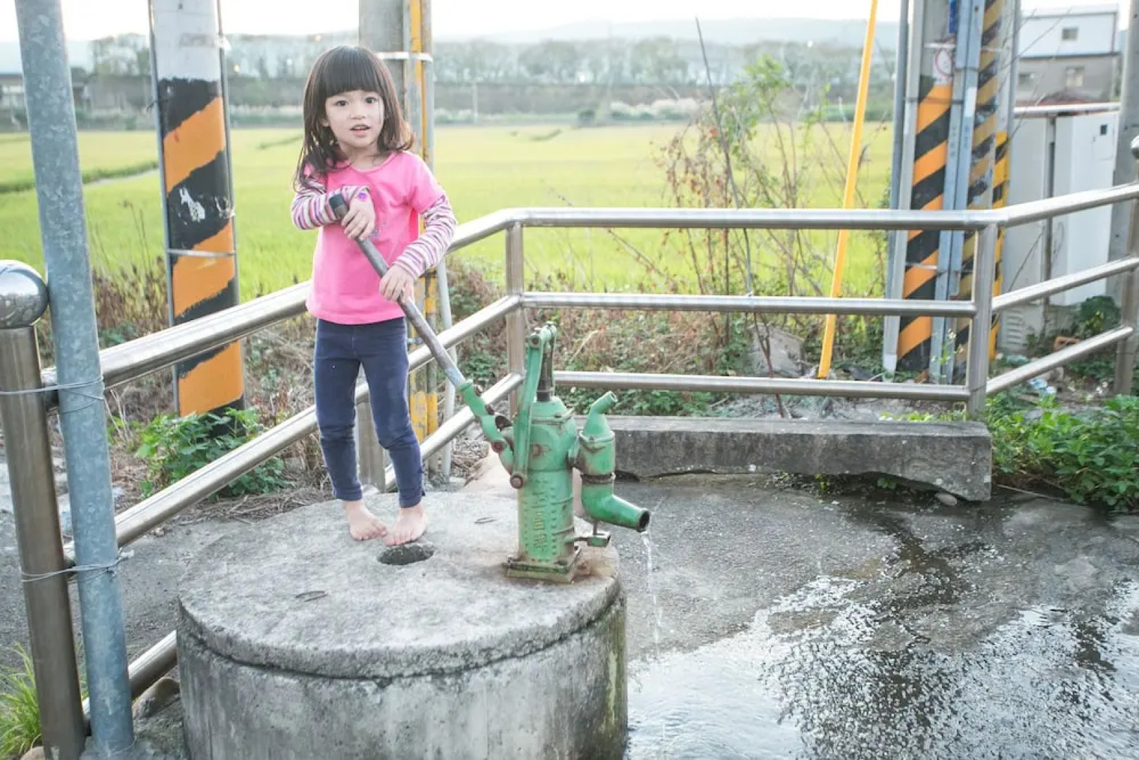 Tree House Café & Homestay