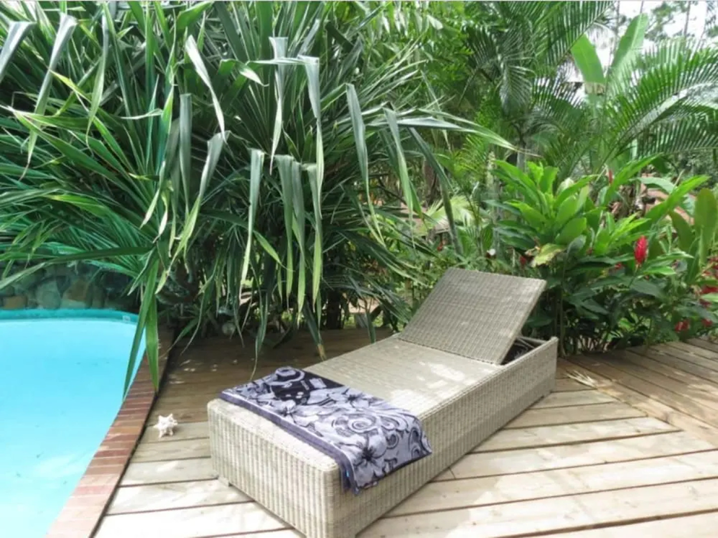 Monkey Lodge Panama