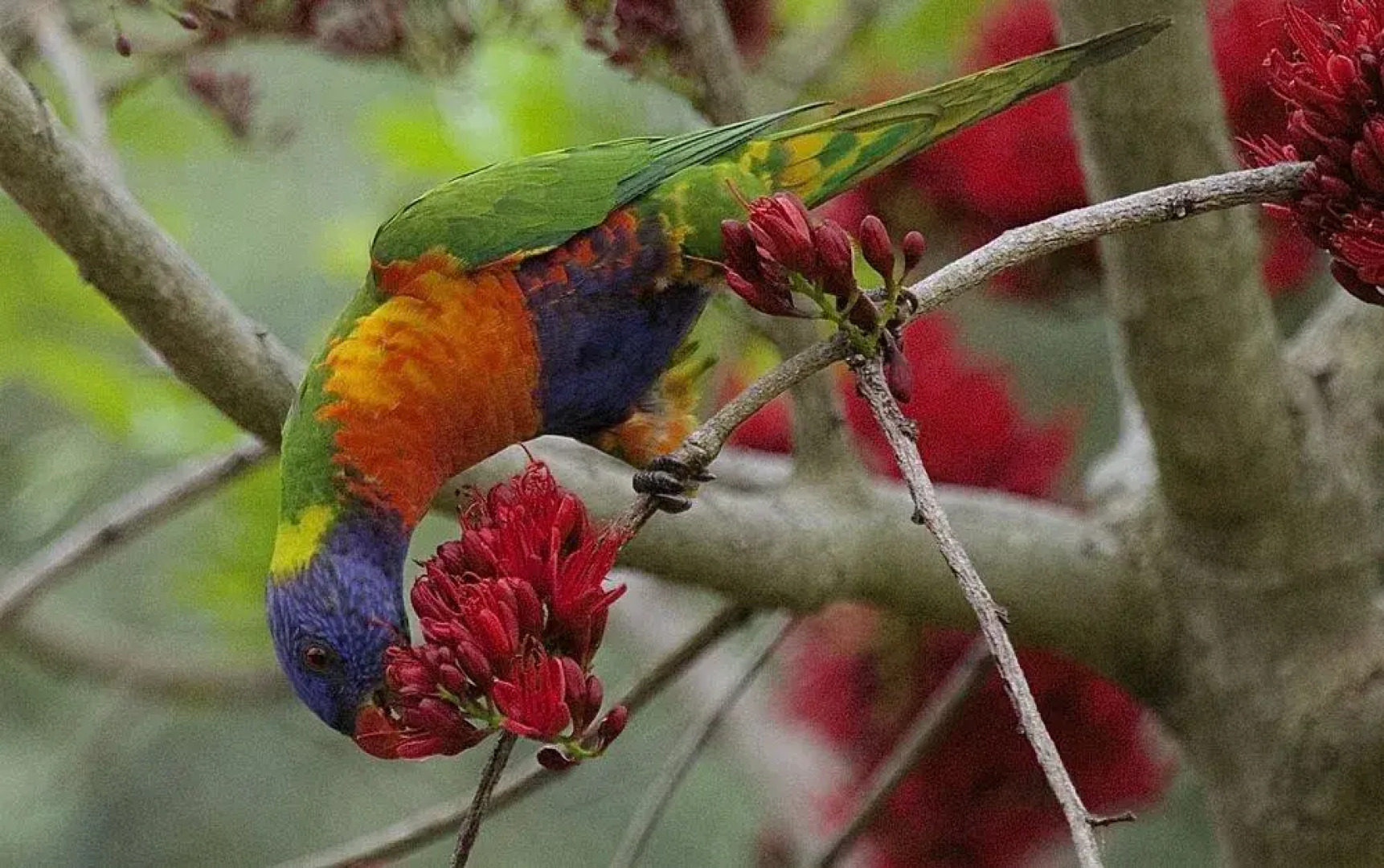 Yarrandabbi Dreaming Boutique B&B