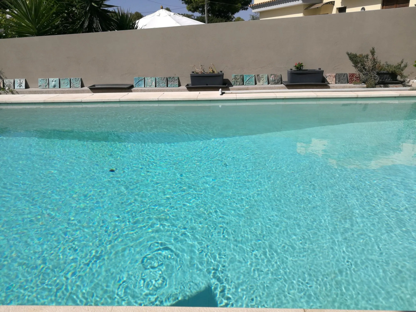 Art House Margine Rosso