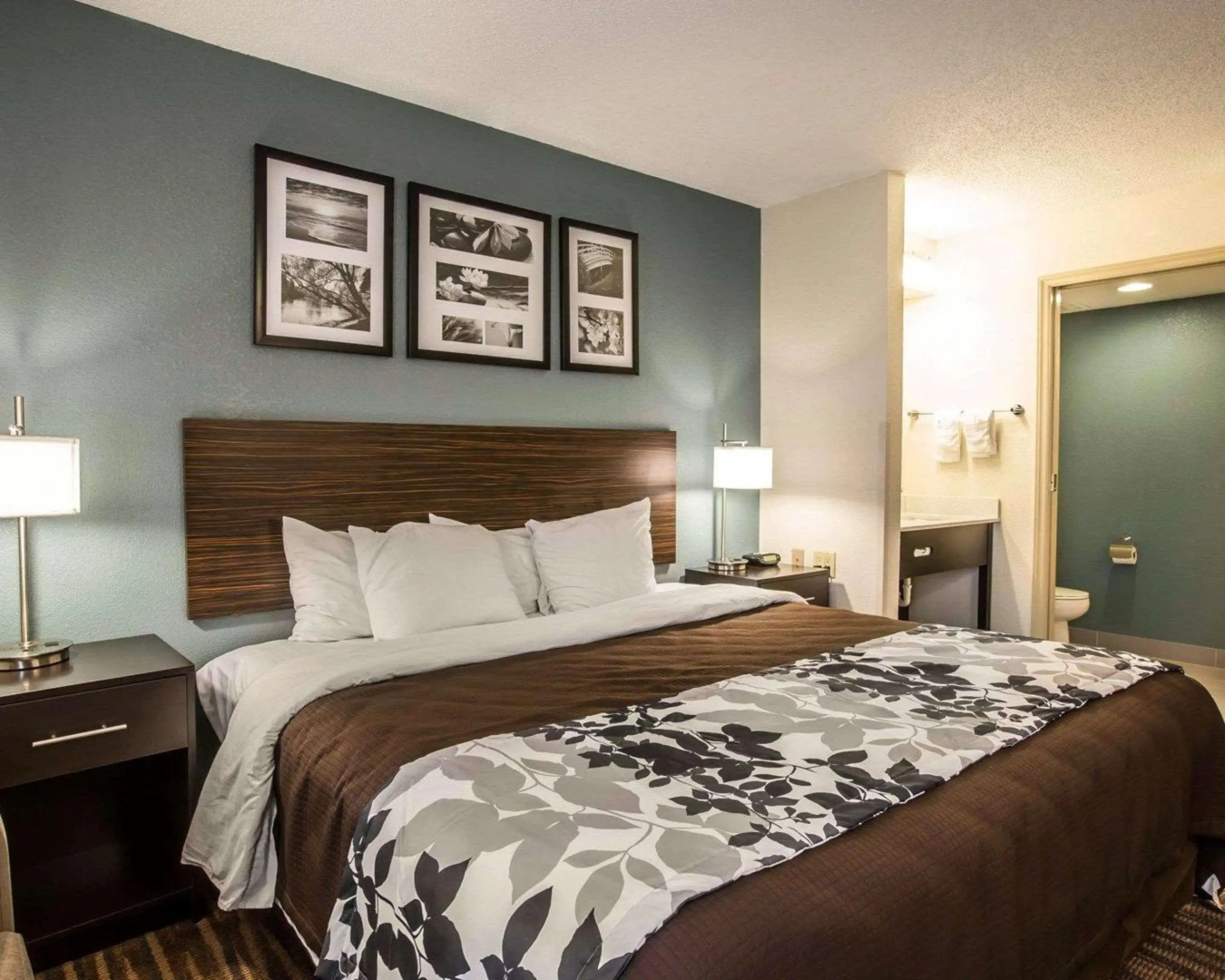 Sleep Inn Greensboro Airport