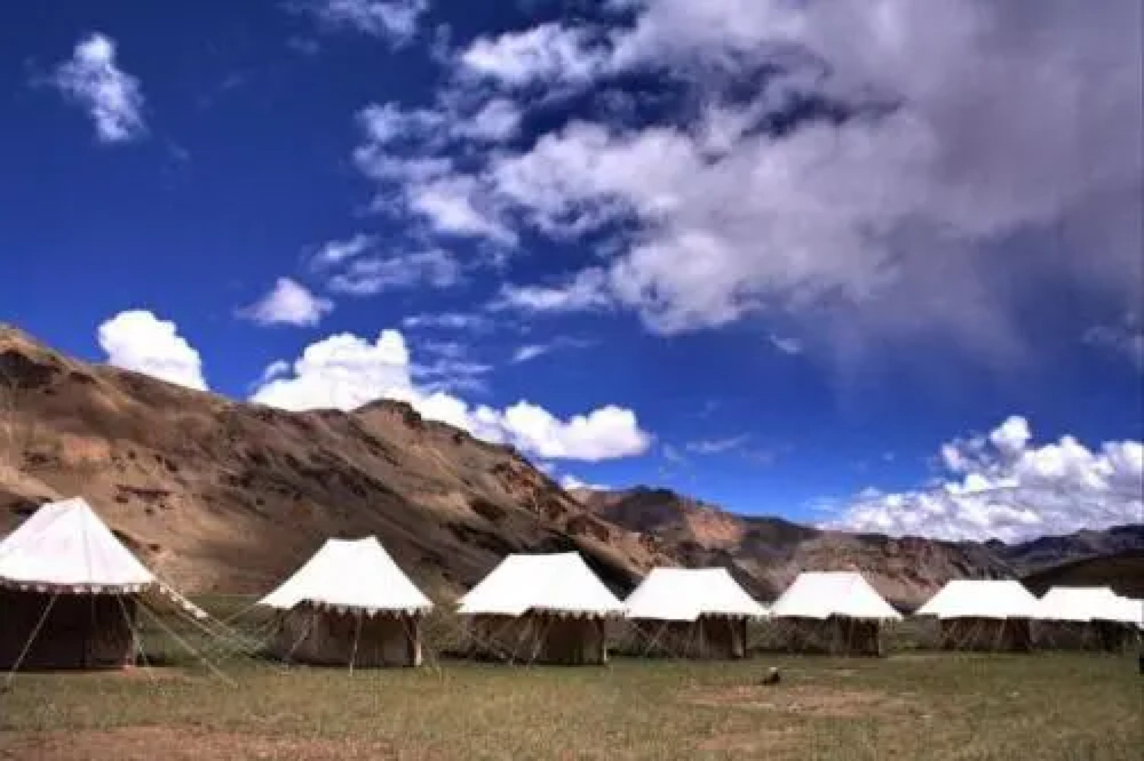 1 BR Tent in Sarchu, Leh, by GuestHouser (4FDD)