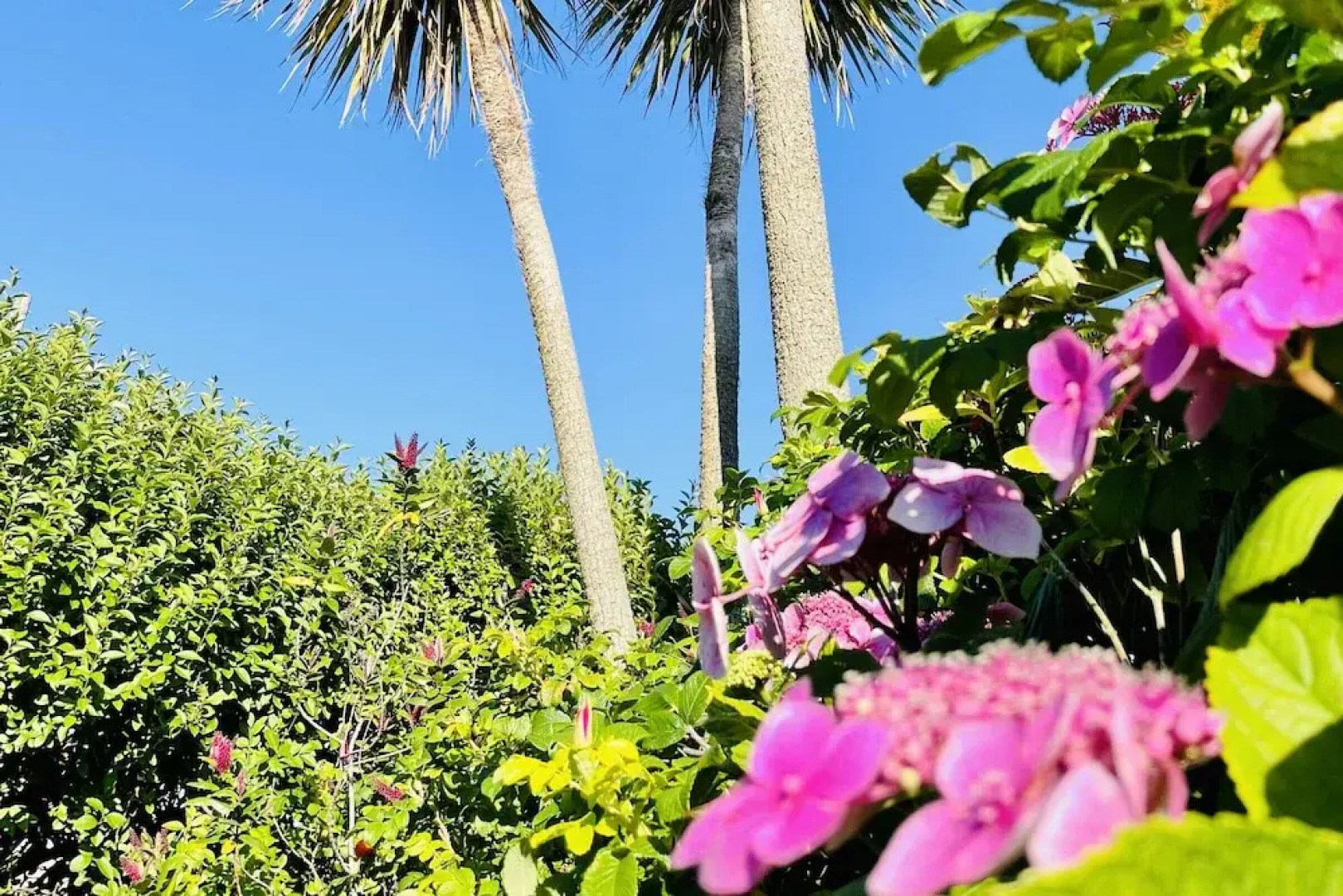 Wavecrest Holiday Cottage