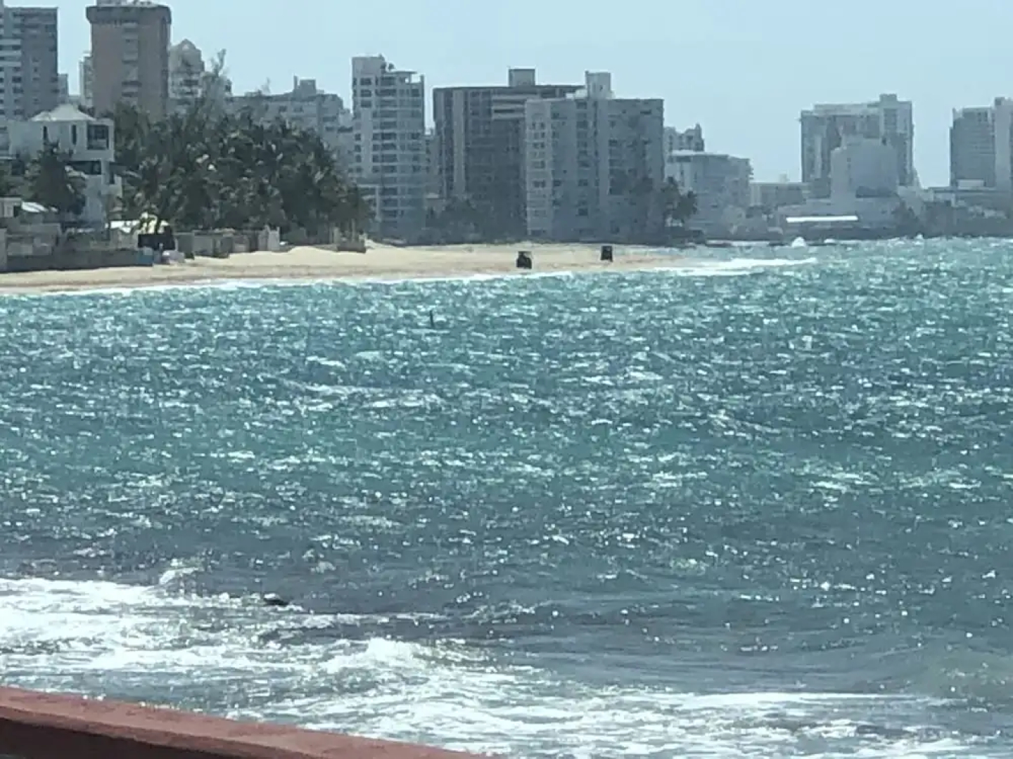 Ocean View Gorgeous 1 Bedroom Apt
