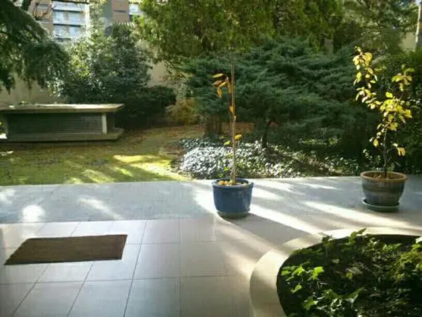 Appartement Les Tilleuls