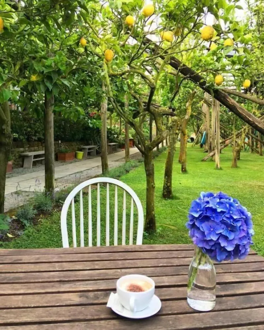Agriturismo Il Convento