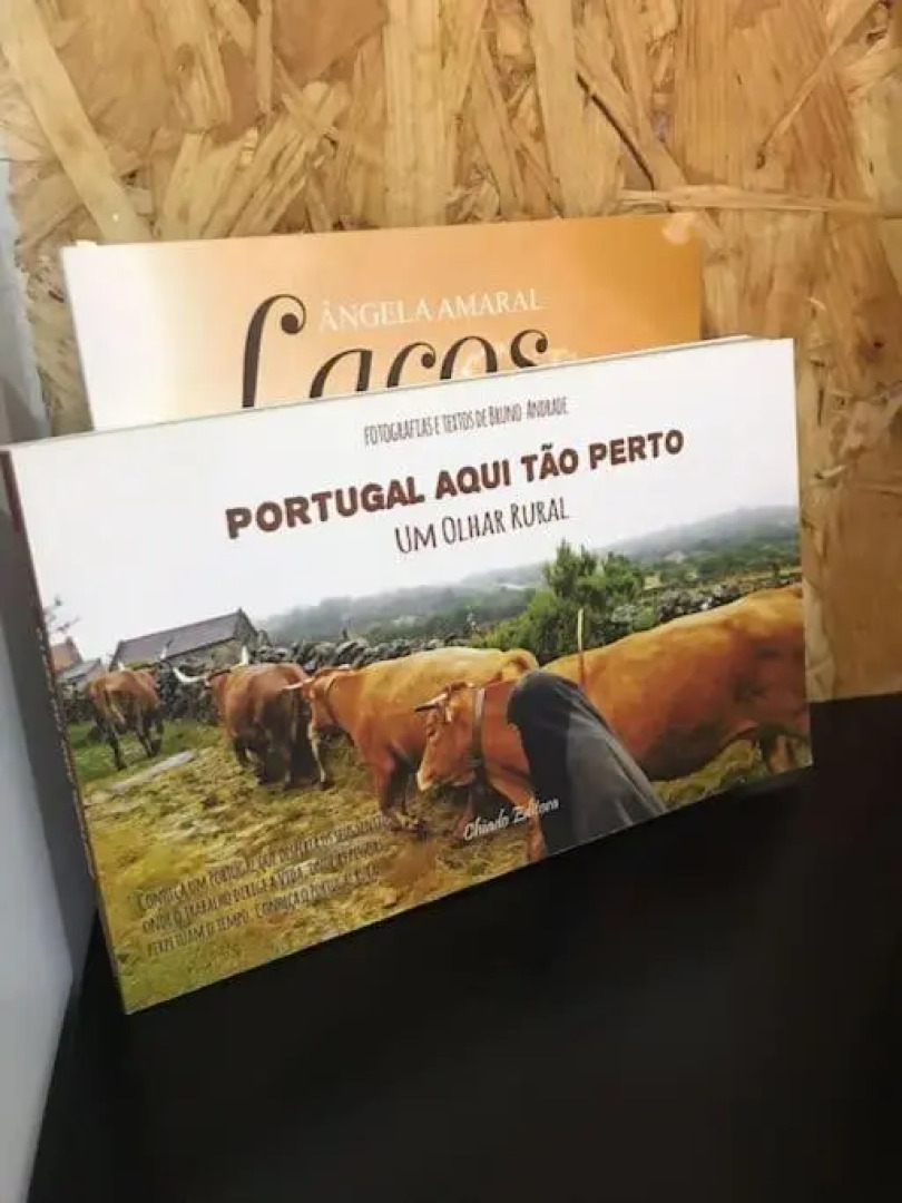 Rústico T1 no centro cidade