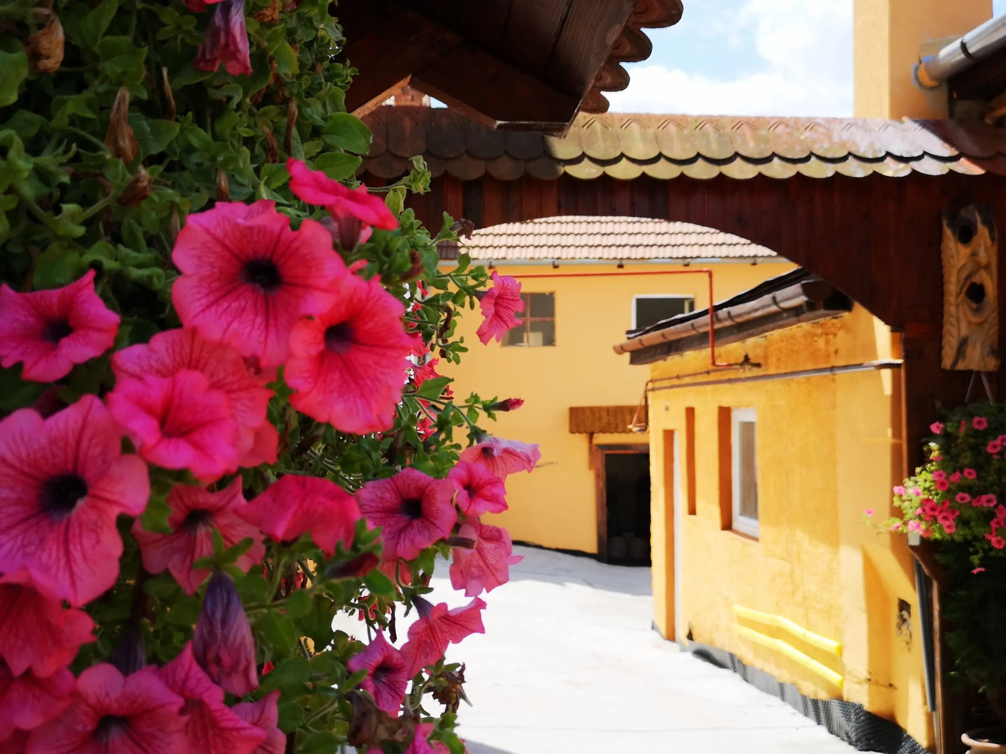 Pensiunea Casa Sighisoreana