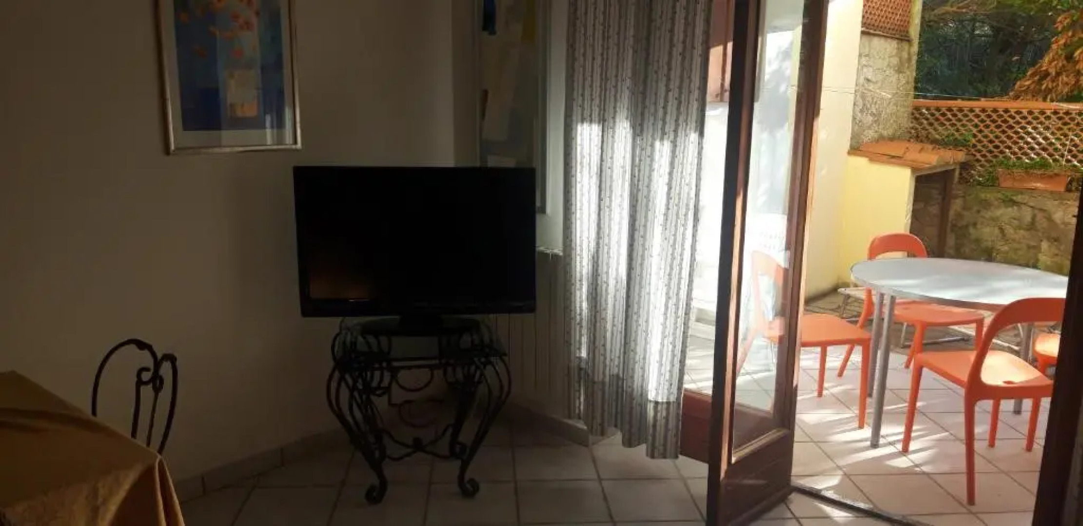 Cotone bilocale 2019