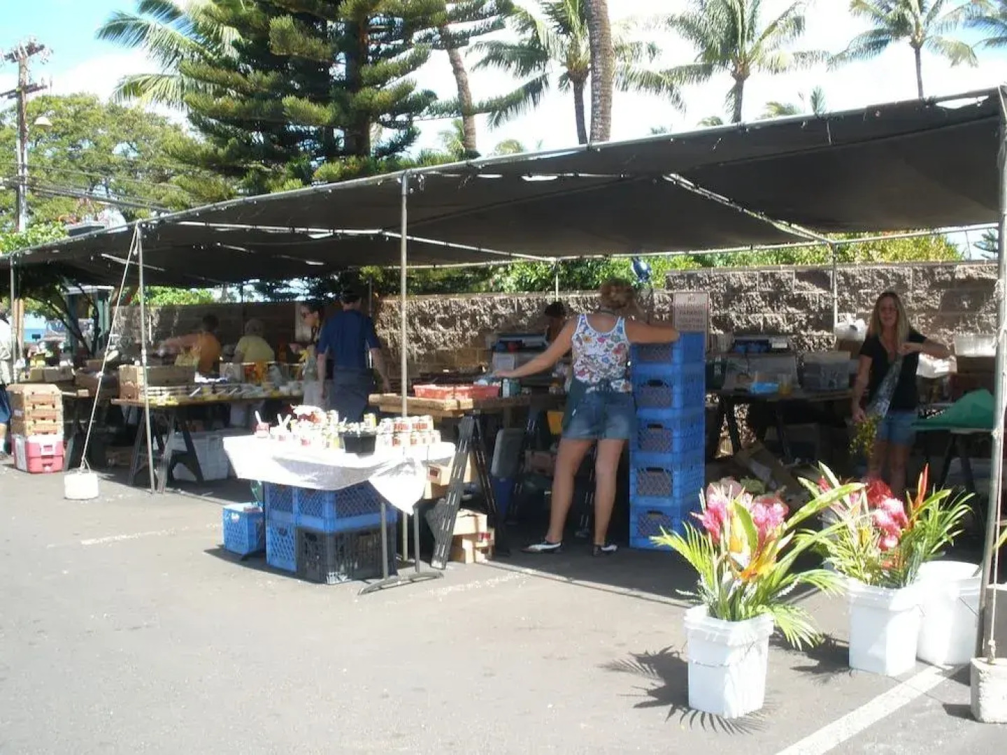 Kaleialoha #109 1 Bedroom 1 Bathroom Condo by Redawning