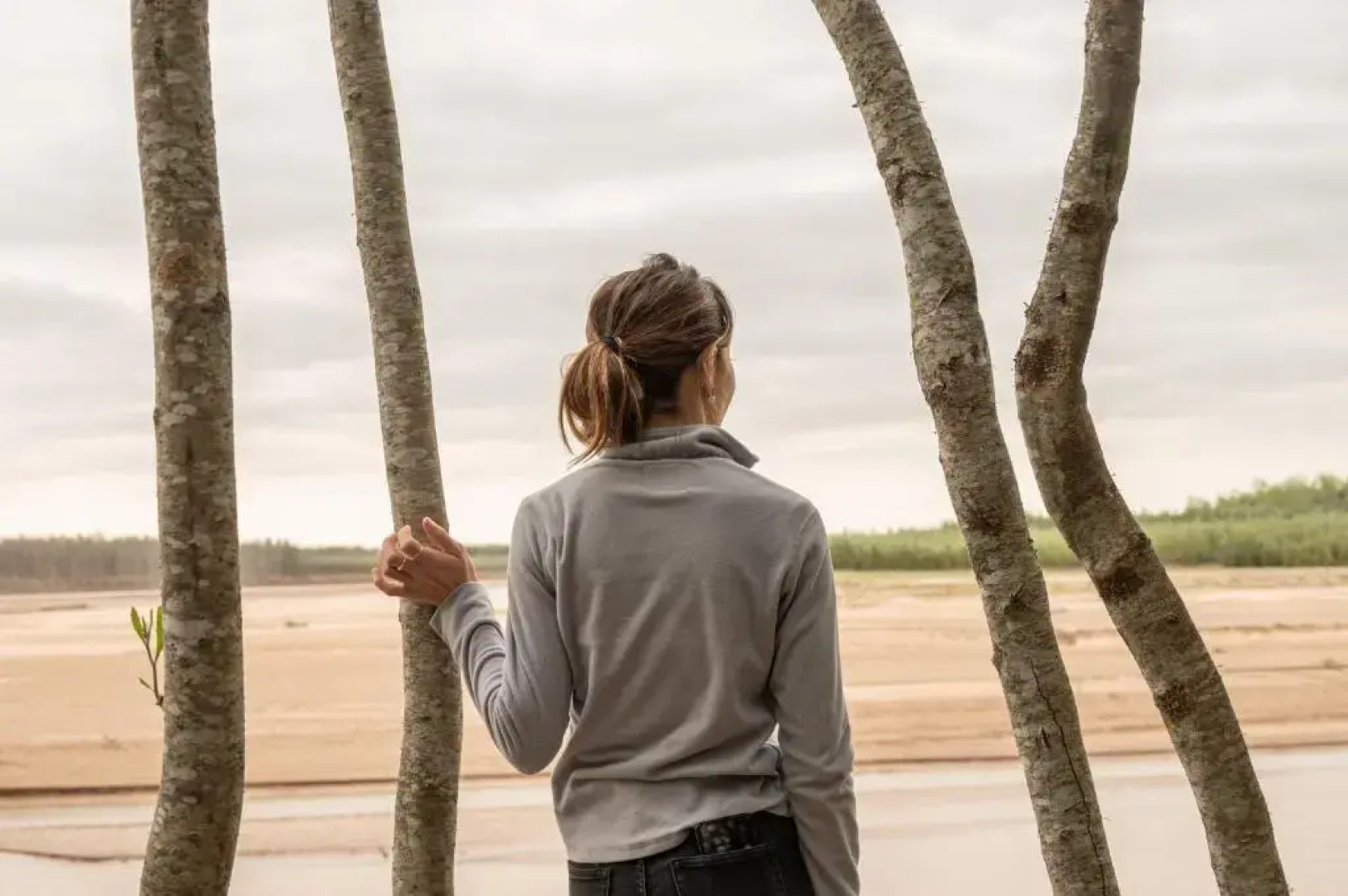 Glamping Los Palmares