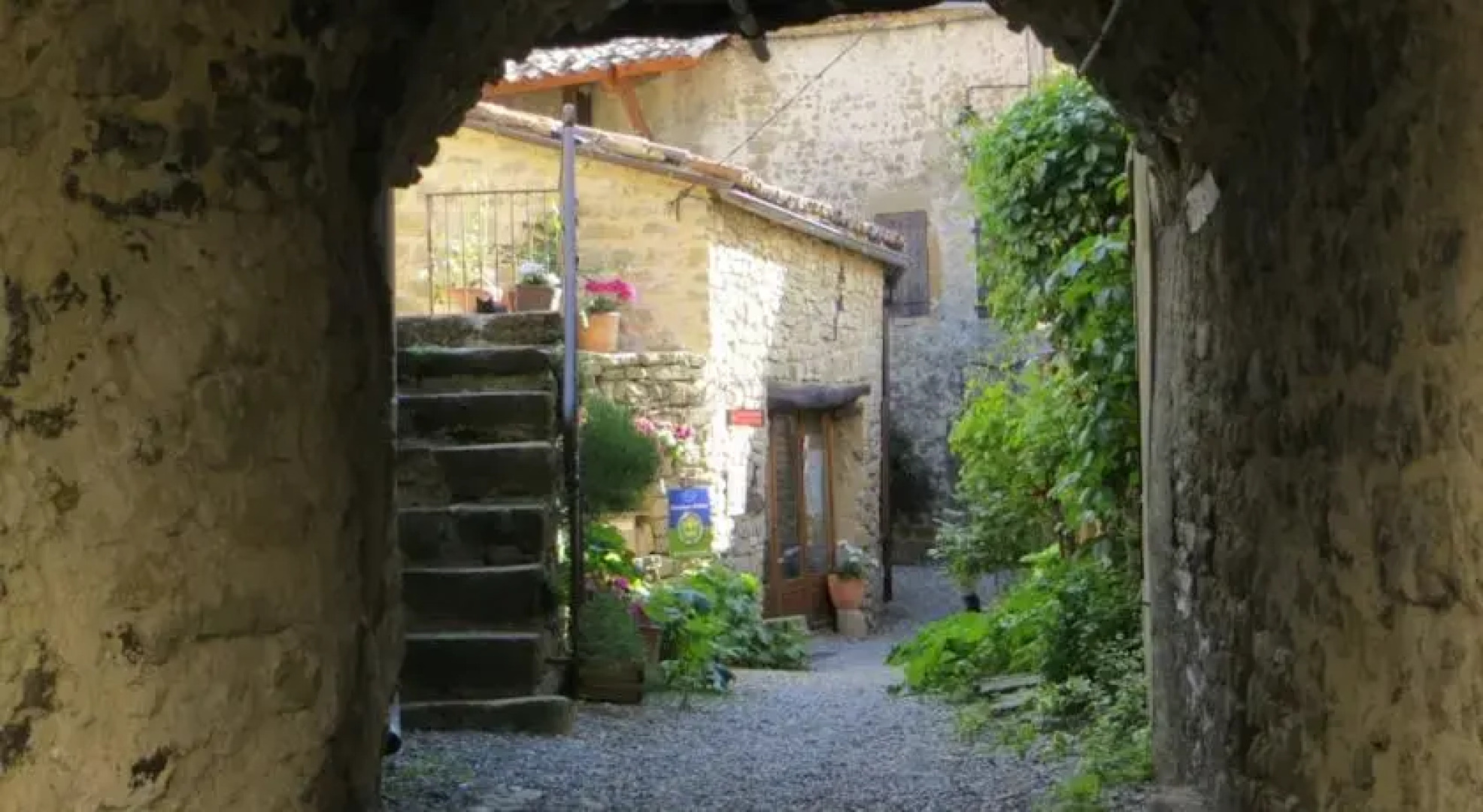 Les Roses Trémières