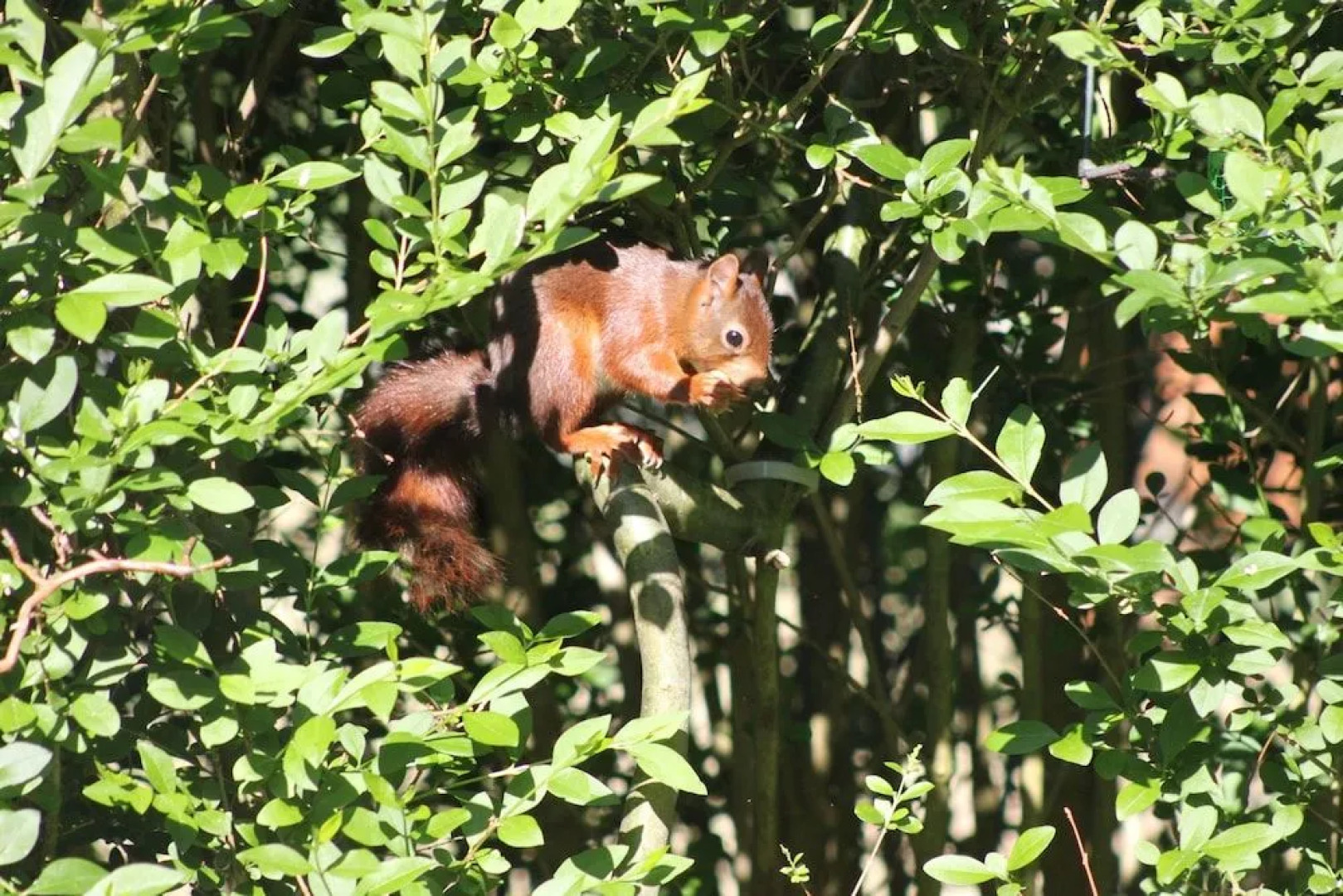 TopParken Recreatiepark de Wielerbaan