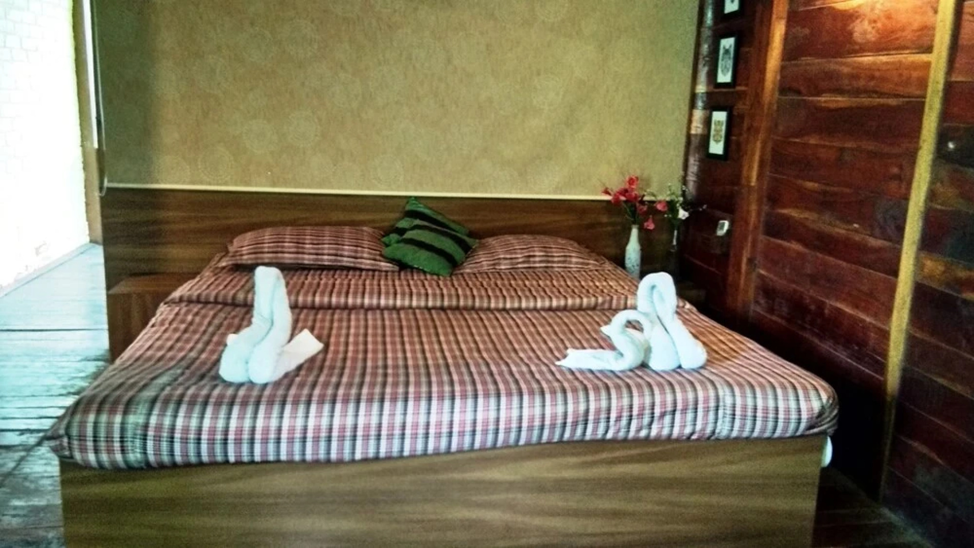 Tiger N Woods Resort