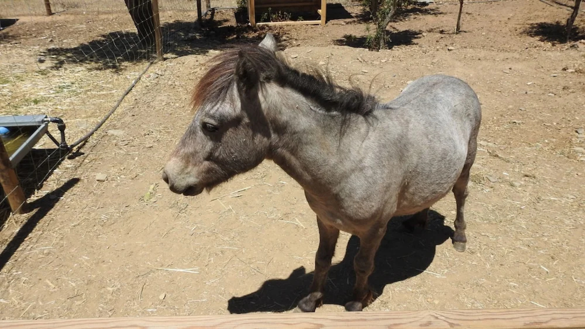 Reflexos d'Alma Turismo Rural