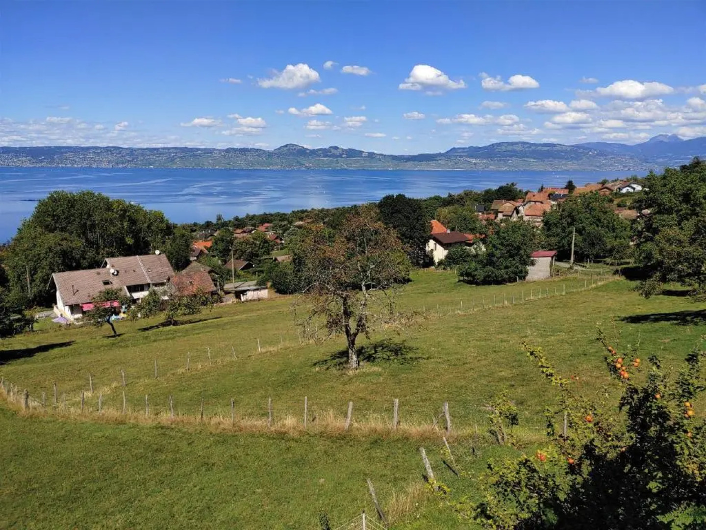 Chalet paisible dans la nature avec belle vue sur le lac Léman