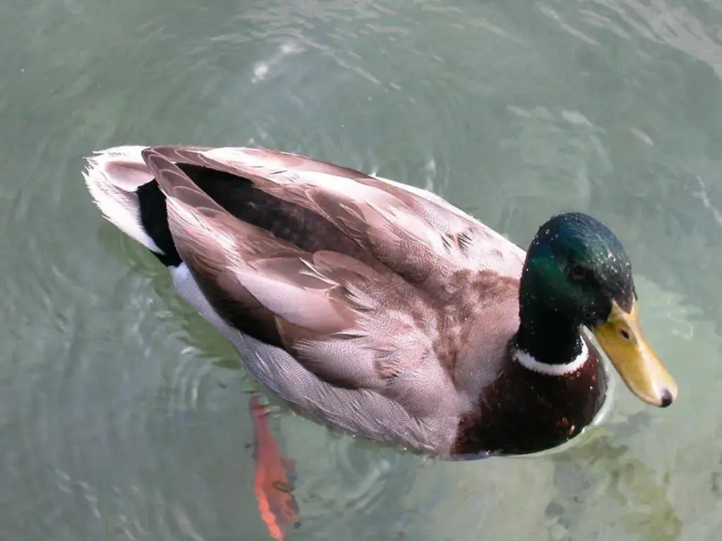 Hotel Restaurant Pöllmann